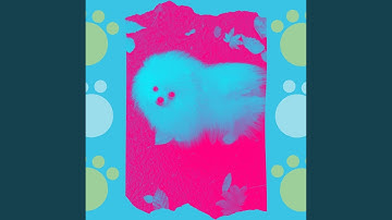 Pulsating Ambiance for Comfy Hounds