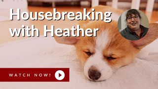 Housebreaking Tips from Our Experts by Canine Company 68 views 1 year ago 1 minute, 50 seconds