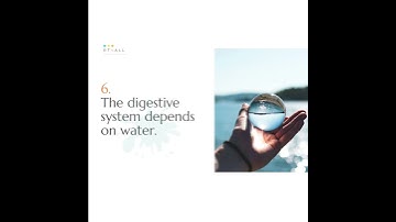 10 reasons why water is essential