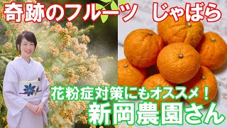 じゃばら 花粉症対策にもオススメ！新岡農園さんに伺いました