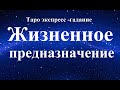 ПРЕДНАЗНАЧЕНИЕ ПО СУДЬБЕ. Моя миссия. Что мне дано?  Дар свыше. Экспресс-гадание. Таро.