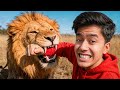 मैंने असली शेर के मुंह में हाथ डाल दिया! 😱 | 24 Hours with World's Deadliest Animals