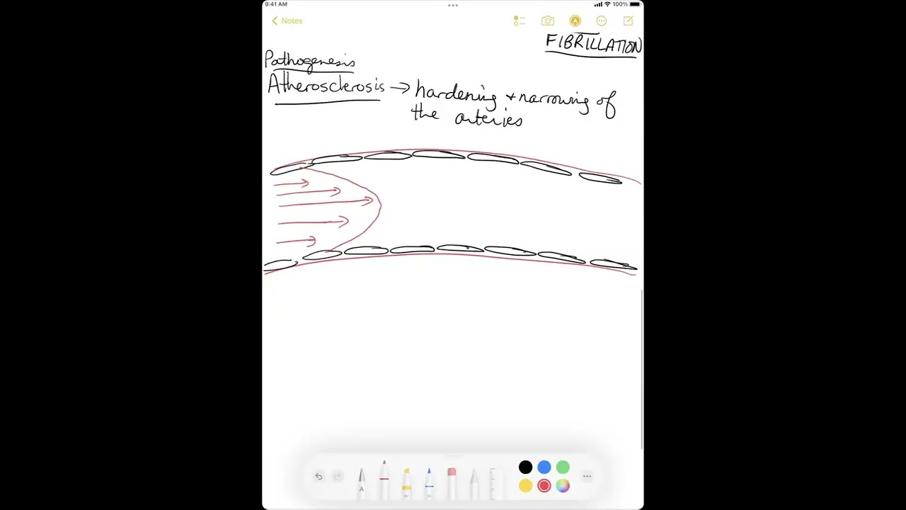 Nervous System   Part 2