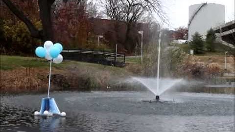 Site Specific Construction