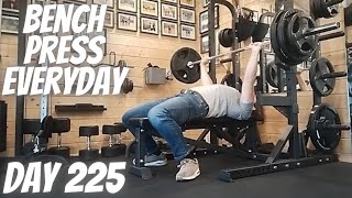 Bench press everyday Day 225 - 130kg x 6 Sets   Bodyweight Dips