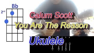 Video thumbnail of "Calum Scott You Are The Reason Ukulele"