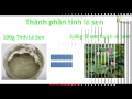 Nước Lá Sen giảm mỡ máu hiệu quả không ngờ