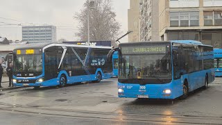 Man Nl313 Lions City Euro4 Zet Zagreb