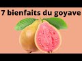 7 bienfaits du goyave pour la sant  fruit