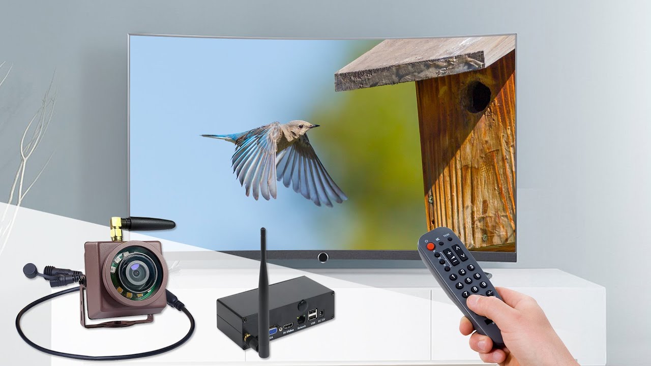 How to use Bird Box Camera HD with Wireless Transmission YouTube