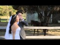 Horse farts at bride and groom during wedding