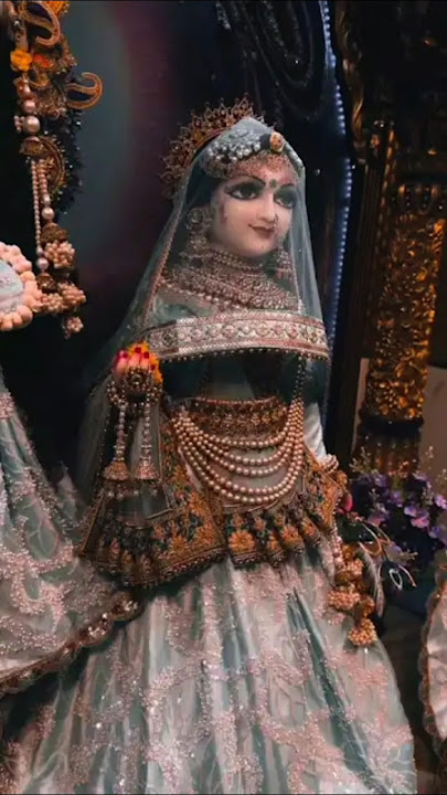 Hamein Radha Rani Tere Naam Ka Sahara... #radhavallabh #shreeharivansh  #radhemohan #radhamadhav 🙏🏻