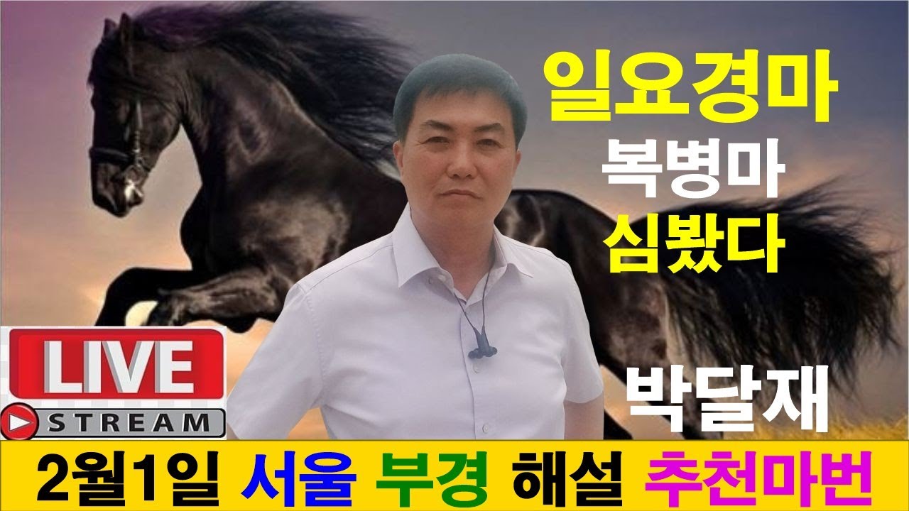 2월1일 일요경마 경마예상 추천마번 복병마 배당마 온종일 라이브 방송 서울경마 부경경마 경주분석 추천마번 예상방송 박달재