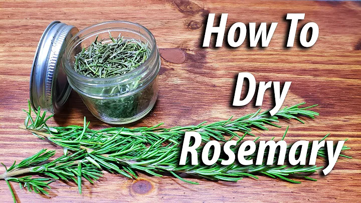 How To Dry Rosemary (2019) Four Different Ways!