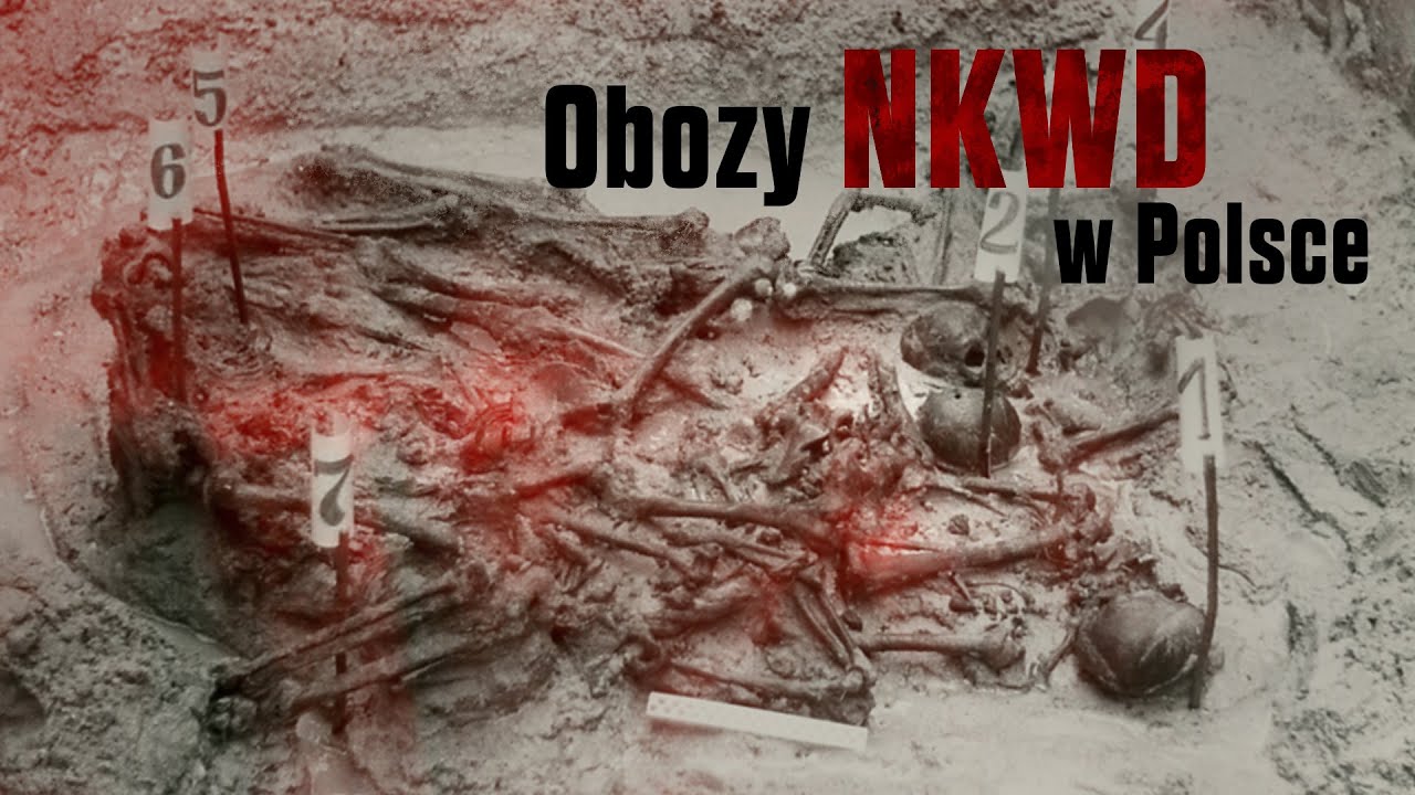 𝐎𝐛𝐨𝐳𝐲 𝐍𝐊𝐖𝐃 𝐰 𝐏𝐨𝐥𝐬𝐜𝐞, 𝐏𝐨𝐥𝐬𝐜𝐲 𝐥𝐨𝐭𝐧𝐢𝐜𝐲, 𝐖𝐲𝐬𝐭𝐚𝐰𝐚 𝐈𝐏𝐍 ２０❹⓿２０ – Przystanek Historia odc. 21