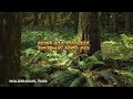 በይስሐቅ ፋንታ የመዝሙር ግጥም Beyshak Fanta Lyrics With Beautiful Nature Scene