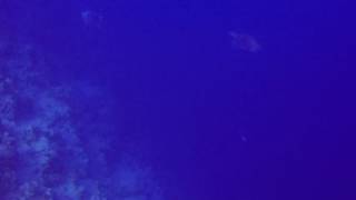 G0060222