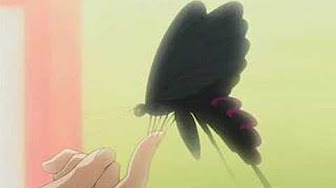 Bleach 松本乱菊 市丸ギンラブソング Youtube