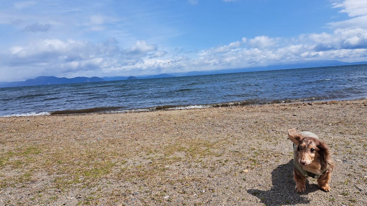 【ｱﾗﾌｫｰ女のｷｬﾝﾌﾟ】六矢崎浜オートキャンプ場