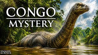 Download Lagu The Dinosaur That May Still Be Alive in the Congo Rainforest: Eyewitness Accounts Download Lagu The Dinosaur That May Still Be Alive in the Congo Rainforest: Eyewitness Accounts