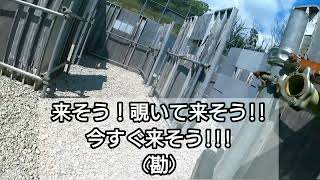 ☀青空ハッスル☀で🔫ハンドガン戦🔫🔥カウンター復活🔥東京マルイHK45GBB🔥メイプルリーフ🔥