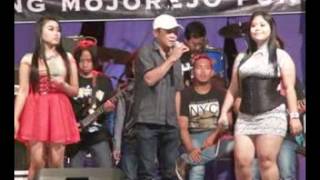 New Pallapa  Luka Hati Luka Diri