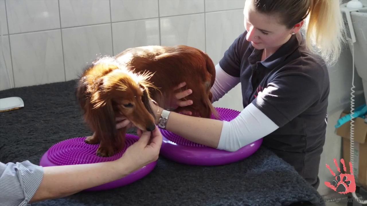 Greis - Neurologický pacient, výhřez meziobratlové plotýnky, ztráta hluboké citlivosti