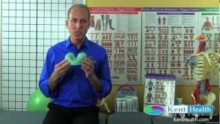 CranioCradle Product Review | Practice Building Tips | Use and Benefits by David Kent