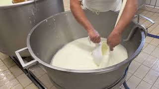 Making Buffalo Mozzarella, Amalfi Coast