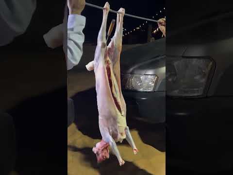 جروب الفتك  اكسبلور اهميه  المراه  لايك  النظافه