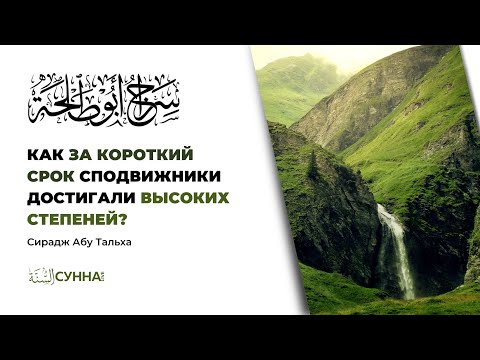 Как за короткий срок сподвижники достигали высоких степеней? || Сирадж Абу Тальха