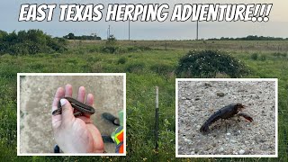East Texas Herping Adventure!!!