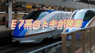 初めて見たE7系とき号発車
joetu shinkansen  
superexpress  toki