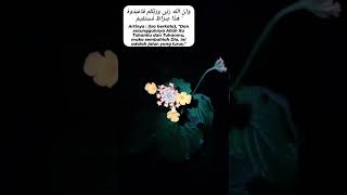 Download Lagu Surah Maryam ayat 36 MP3