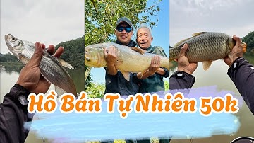 Tùng Tèng Fishing |  Câu cá tại hồ bán tự nhiên 50k va hàng khủng 
