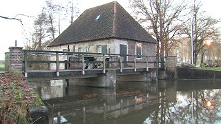 Midwinterhoorn blazen in Eibergen - Thumbnail