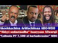 Akeekkachisa Ariifachiisaa ABO WBO Abiyyi Sodaataadha Isaayyaas Afiwarqii Loltoota PP 7 500 WBO