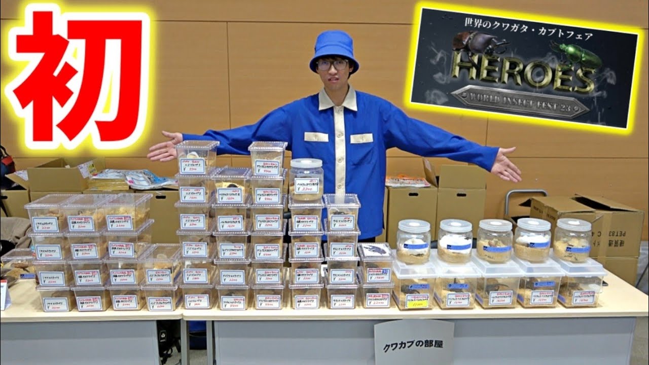 【人生初】昆虫即売会に潜入した結果が最高すぎた