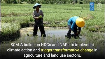 Introducing the SCALA Programme | English