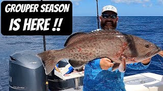 GROUPER SEASON OPENER!!! Fighting Sharks and Huge Red Snapper To Get Our Target Species