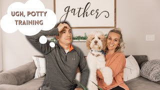 Aussiedoodle Potty Training Tips  5 BEST TIPS TO POTTY TRAIN FAST |  Torey Noora