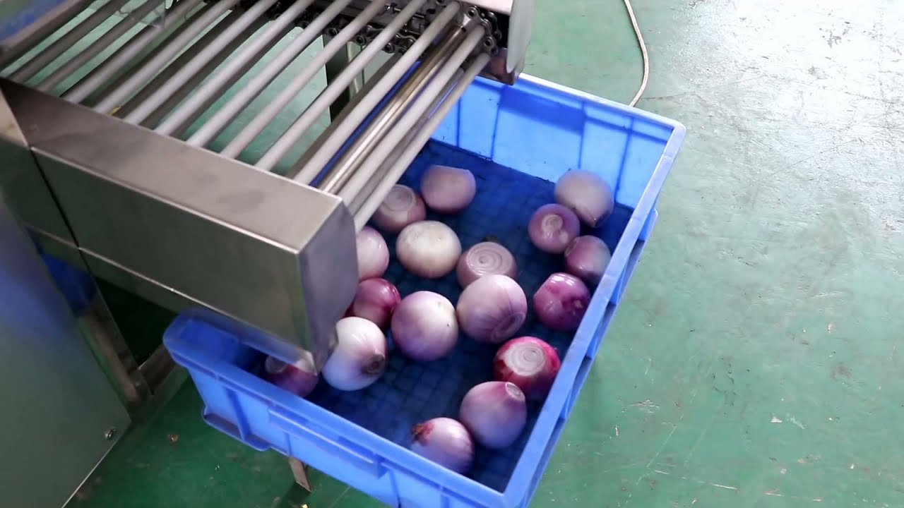 Bop Onion Peeling Machine and Root Cutting Machine