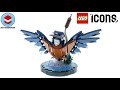 LEGO Icons 10331 Kingfisher Bird – LEGO Speed Build Review