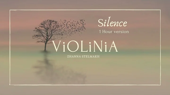 ViOLiNiA Zhanna Stelmakh - Silence