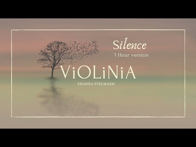 ViOLiNiA Zhanna Stelmakh - Silence class=