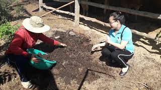 Mekong Plus Vietnam Worms Environment Agriculture Pollution 2021-08-16Nstrichoderma