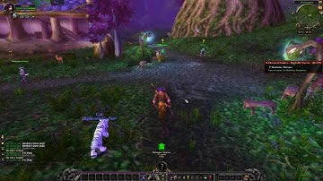 X-Elerated 1-90 WoW Leveling Guide - Horde and Alliance