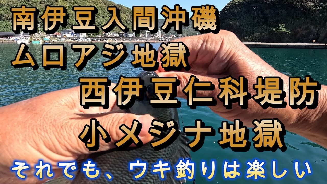 南伊豆入間の沖磯・仁科港堤防でのウキフカセ釣り～ムロアジ、小メジナに翻弄される