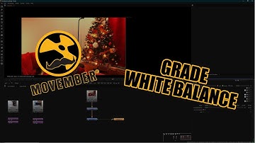 Movember Nuke trick 02 : Grade and white balance