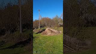 FARM LATVIA 19 10 2025 добрый день